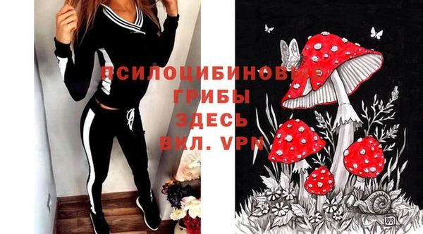 твердый Алексеевка